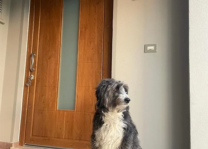 Casetta Le Risaie Prato (Prato)