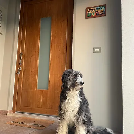 Casetta Le Risaie Prato (Prato)